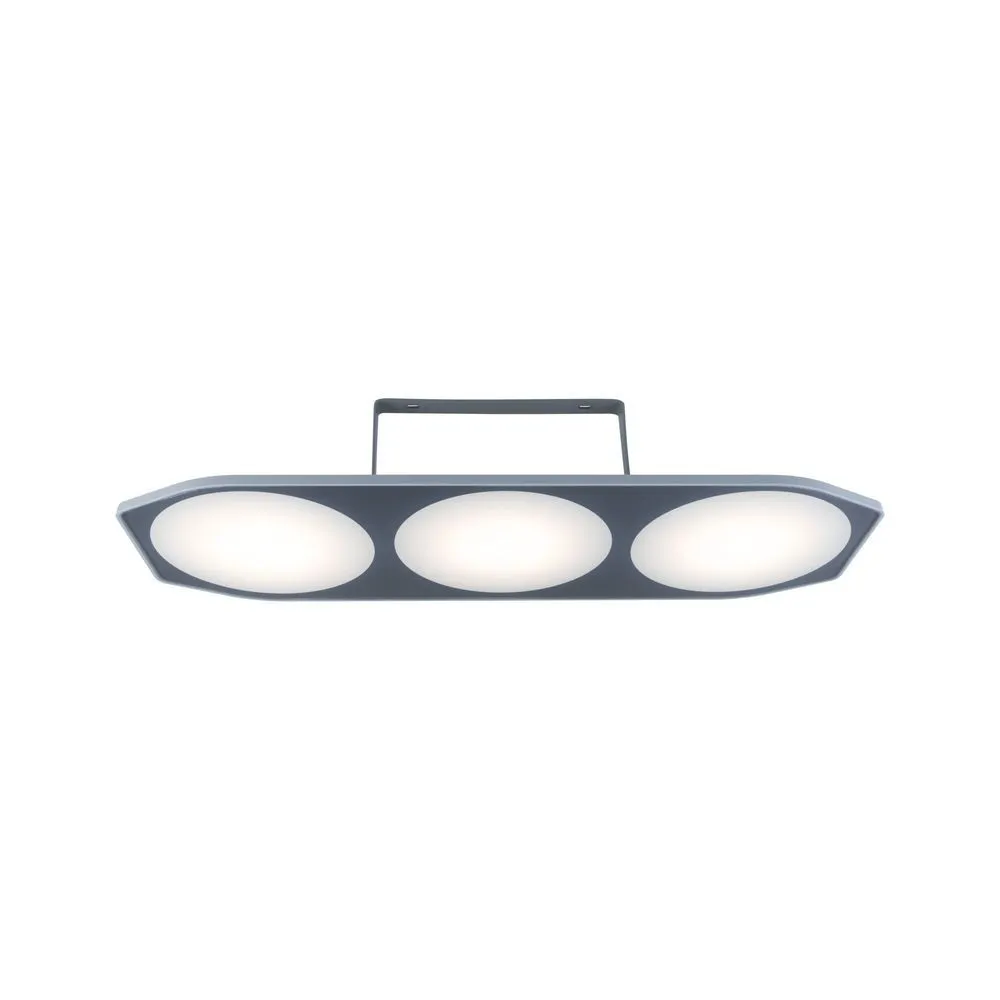 PAULMANN 94510 Applique d'extérieur LED couleur anthracite SYSTEM